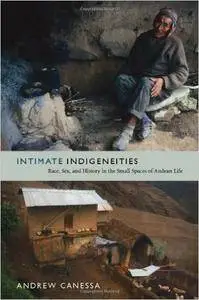 Intimate Indigeneities: Race, Sex, and History in the Small Spaces of Andean Life