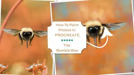 How To Paint Photos In Procreate:  The Bumble Bee