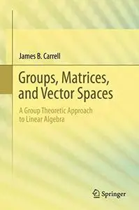 Groups, Matrices, and Vector Spaces: A Group Theoretic Approach to Linear Algebra (Repost)