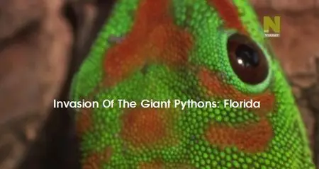 Invasion Of The Giant Pythons: Florida (2015)