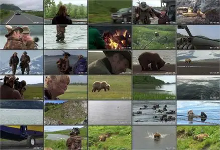 Johnny Kingdom and the Bears of Alaska (2013)