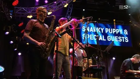 Snarky Puppy & Special Guests - Estival Jazz Lugano 2014 [HDTV 720p]