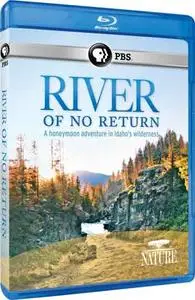 River of No Return (2012)