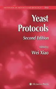Yeast Protocol