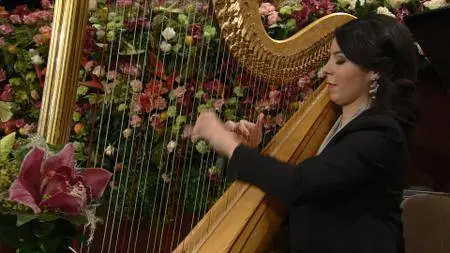 Vienna Philharmonic - New Year's Concert 2017 [HDTV 1080i]