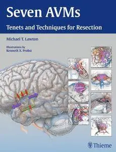 Seven AVMs: Tenets and Techniques for Resection (Repost)