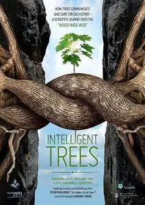 Dorcon Film - Intelligent Trees (2016)