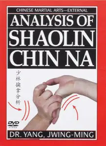 Analysis of Shaolin Chin Na