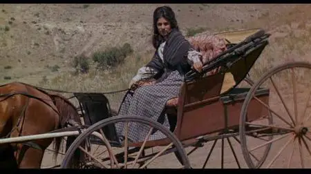 (Arthur PENN) MISSOURI BREAKS [DVDrip] BivX