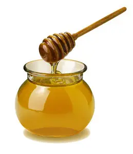 Honey and Bees