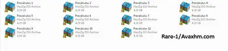 Chalk Dust Productions - Precalculus Full 11 DVD's