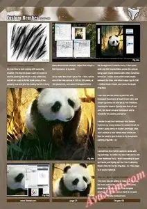Custom Brushes - Volume 1,2 (Digital Painting Tutorial)