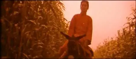 Zhang Yimou-Hong gao liang ('Red Sorghum') (1987)