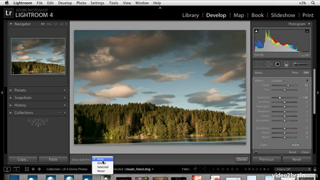 Adobe Photoshop Lightroom 4: Learn by Video [repost]