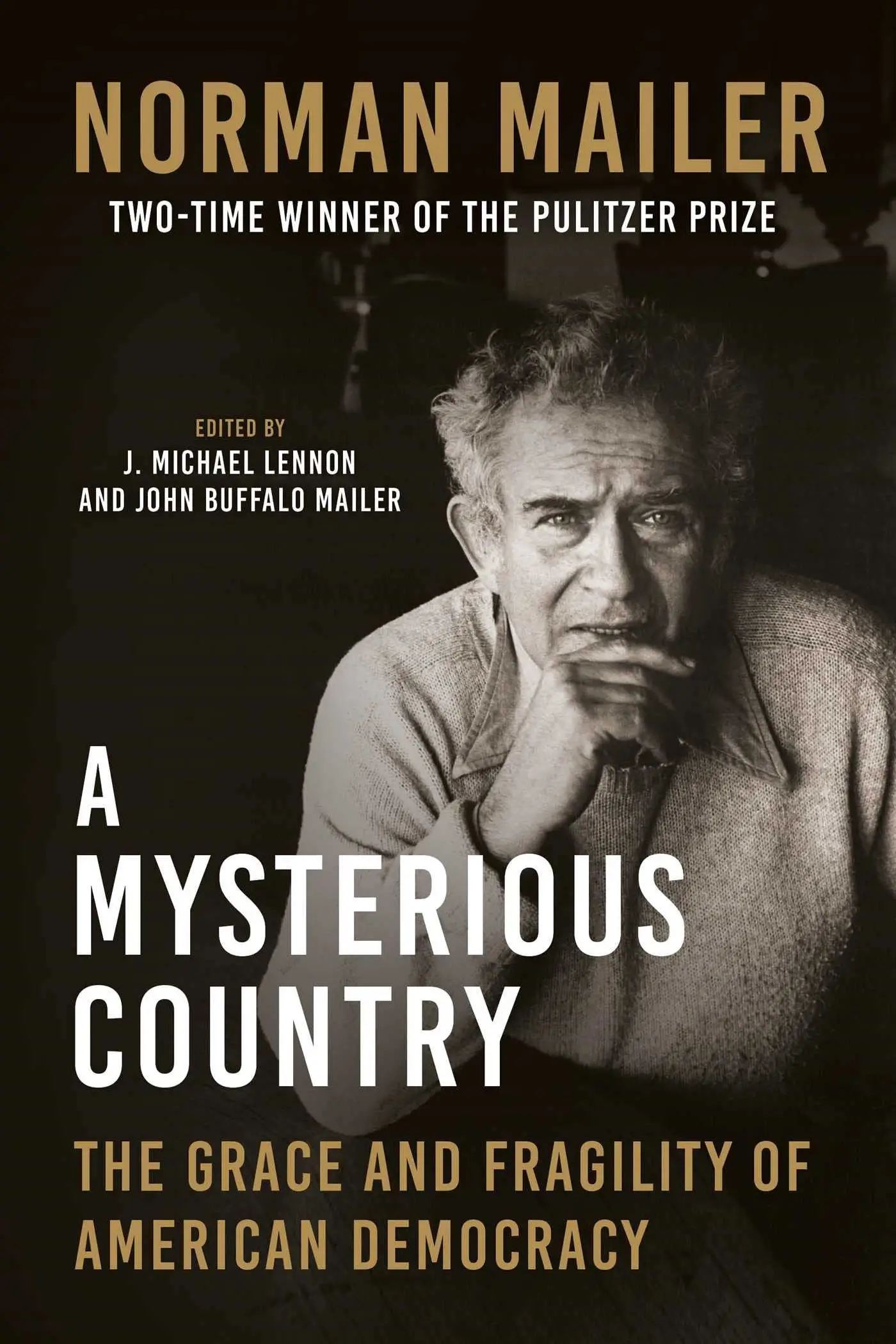A Mysterious Country: The Grace and Fragility of American Democracy