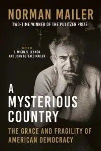 A Mysterious Country: The Grace and Fragility of American Democracy