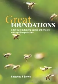 Great Foundations: A 360-Degree Guide to Building Resilient and Effective Not-for-Profit Organisations