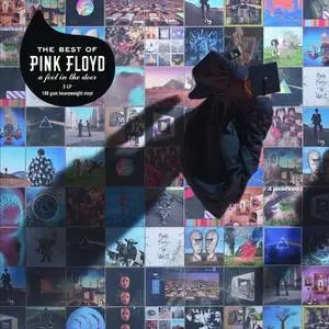 Pink Floyd - A Foot In The Door: The Best Of Pink Floyd (2018) [2LP, DSD128]