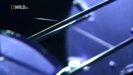National Geographic - Super Spider (2012)