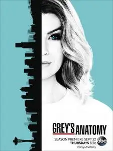 Grey's Anatomy S13E13 (2017)