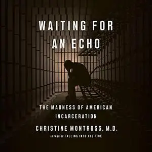 Waiting for an Echo: The Madness of American Incarceration [Audiobook]