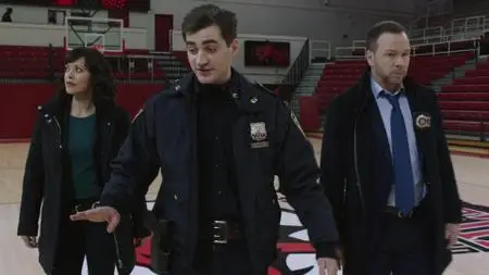 Blue Bloods S09E12