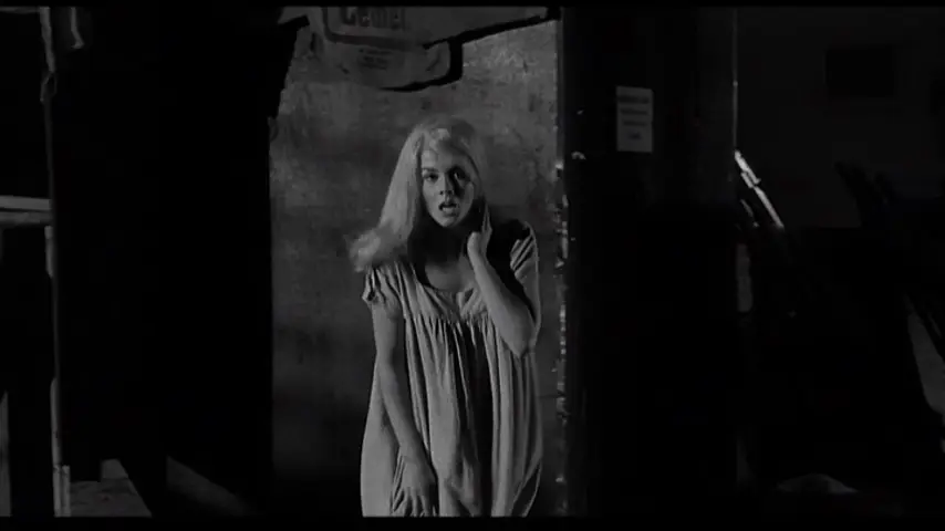 Kitten with a Whip (1964) [ReUp]