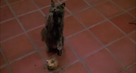 MadHouse (1990)