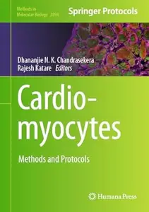 Cardiomyocytes