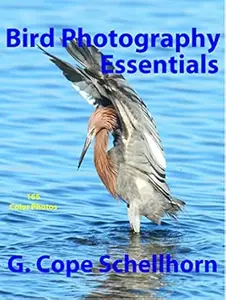 Bird Photography Essentials
