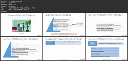 Agile Pm 202 - Introduction To Agile Project Management