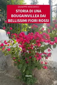 Storia di una bougainvillea dai bellissimi fiori rossi - Giuseppe Moscovicci