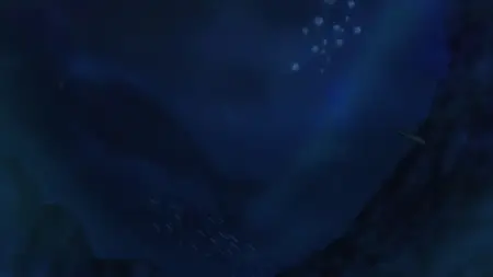 One Piece Log - Fish-Man Island Saga - 05