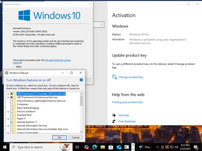 Windows 10 Pro 22H2 build 19045.5552 With Office 2024 Pro Plus Multilingual Preactivated