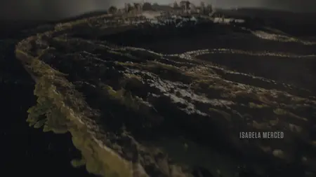 The Last of Us S02E04