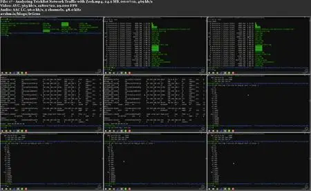 Malware Analysis and Detection: Trickbot