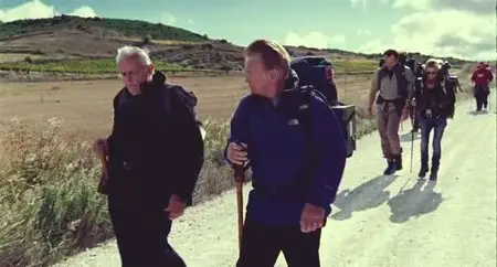 The Way (2010)