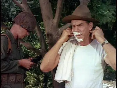 Follow Me, Boys! (1966)