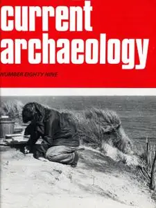 Current Archaeology - Issue 89