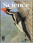 Science Magazine Cover 2005