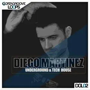 Datagroove Loops Diego Martinez Underground and Tech House WAV