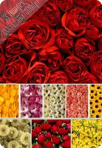 Flower Background