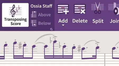 Sibelius Ultimate 2019 Essential Training: The Basics