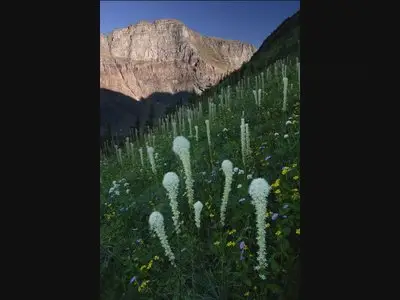 PhotoshopCAFE - Perfect Composition for Digital Photography [repost]