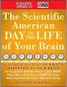 The Scientific American Day in the Life of Your Brain [Repost]