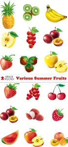Vectors - Various Summer Fruits