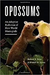 Opossums: An Adaptive Radiation of New World Marsupials