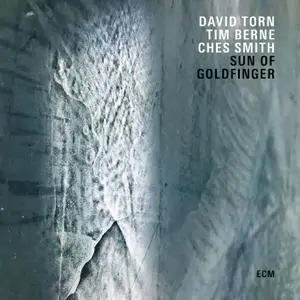 David Torn, Tim Berne & Ches Smith - Sun Of Goldfinger (2019) [Official Digital Download]