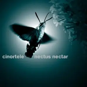 Cinortele - Nectus Nectar