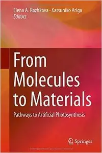 From Molecules to Materials: Pathways to Artificial Photosynthesis